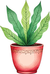 Obraz premium green plant in a pot