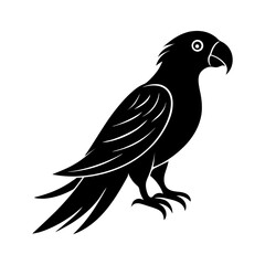 bird on a branch