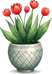 Cute Plant Illustrations