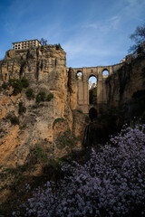 ruins of the castle © Dydziu_foto