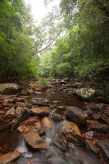 Hacking River im Königlichen Nationalpark in NSW bei Sydney.