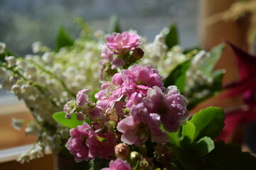 Spring Bouquet of Lilies of the Valley and Pink Flowers by the Window
