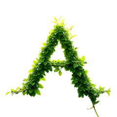 Leafy Vine Letter a   formed entirely from intertwining green vines and delicate