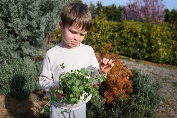 A little boy holding a pot with a plant, eager to plant it in the garden. His expression shows excitement and curiosity as he prepares to nurture nature in the garden.