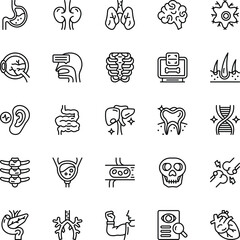 Human Organ black line icons set. Vector Illustration. Set of Human Organ icons in line style
