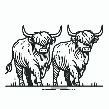 Highland Cow Couple walking together minimalist vector graphic a festive Christmas holiday stroll
