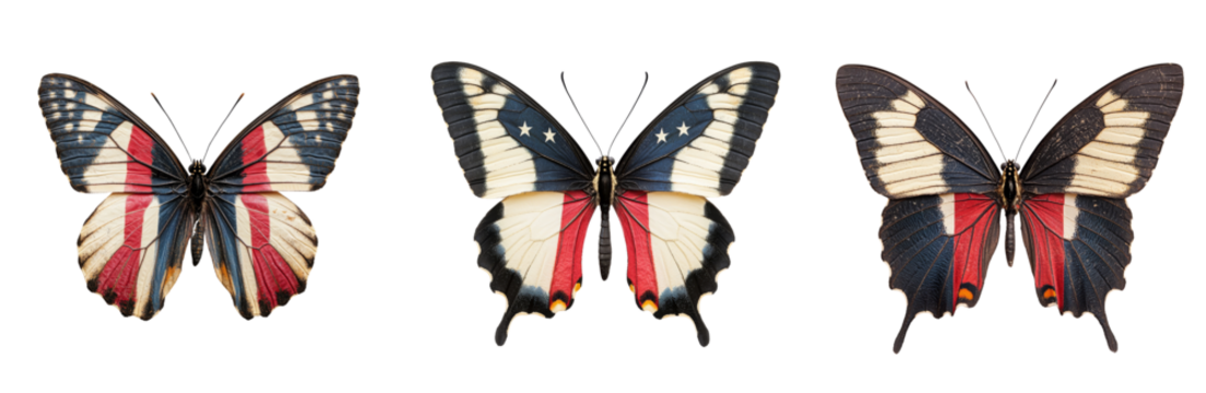 Colorful butterflies with patriotic designs featuring red, white, and blue patterns, showcasing intricate wing details and vibrant colors