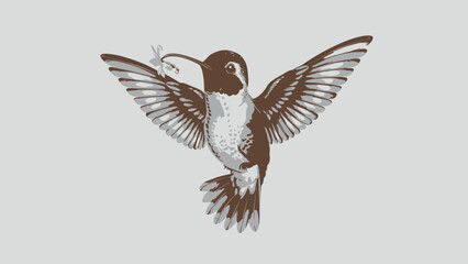 Obraz premium Illustration Of A Beautiful Hummingbird In Flight With Detailed Features