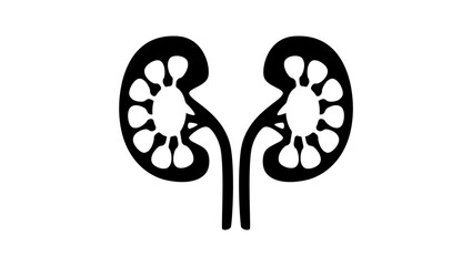 Kidney structure, black isolated silhouette