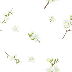 Delicate flowers on spring apple and cherry tree branches with leaves. Seamless pattern. Watercolor digital illustration. White buds and petals, blooming japanese tree isolated on white background.