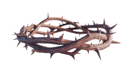 Realistic Crown of Thorns for Good Friday isolated on transparent background