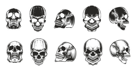 Detailed Skull Sketch Vector Illustrations in Vintage Style