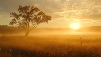 Golden Sunrise over Misty Field with Solitary Tree
