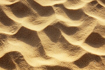 Detailed photograph shows undulating patterns created by sand dunes