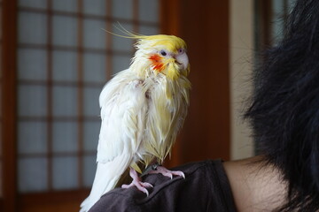 Fototapete bei efototapeten.de bestellen   