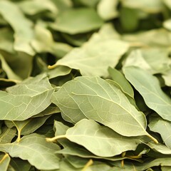 Dried Bay Leaves Close Up Aromatic Herb Spice Texture
