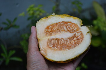 Close up of sweet lemon