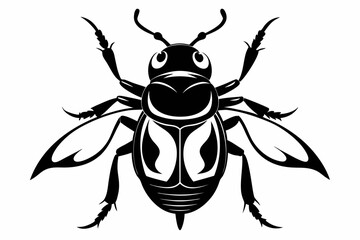 bombardier beetle line art silhouette vector illustration