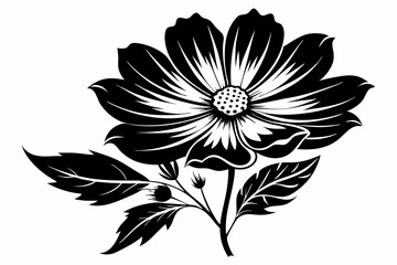 cosmos flower line art silhouette vector illustration