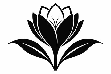 crocus flower line art silhouette vector illustration