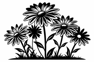 daisies flower line art silhouette vector illustration