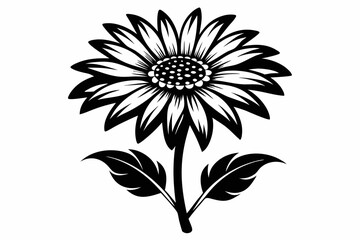 daisies flower line art silhouette vector illustration