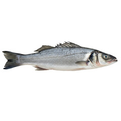 Obraz premium fish on white background, PNG transparent