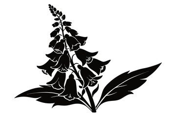 foxglove flower line art silhouette vector illustration © Pinak