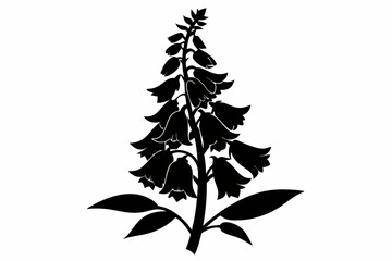 foxglove flower line art silhouette vector illustration © Pinak