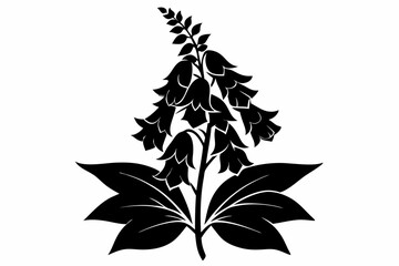 foxglove flower line art silhouette vector illustration © Pinak
