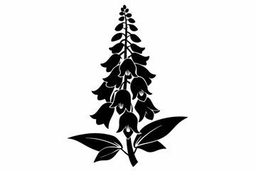 foxglove flower line art silhouette vector illustration © Pinak