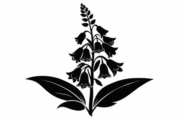 foxglove flower line art silhouette vector illustration © Pinak