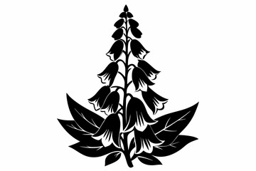 foxglove flower line art silhouette vector illustration © Pinak