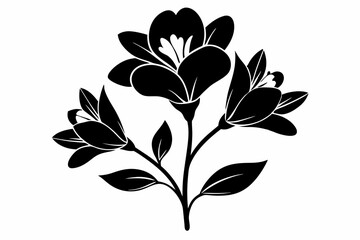 freesia flower line art silhouette vector illustration