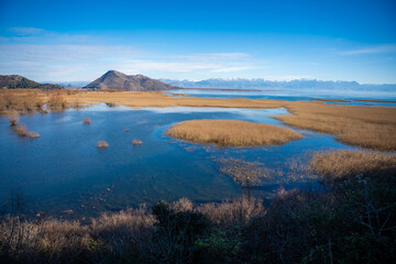 View of Skadar Lake with reeds on mountains background in winter, Montenegro