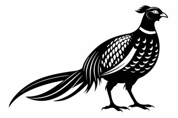 pheasant line art silhouette vector illustration