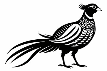 pheasant line art silhouette vector illustration
