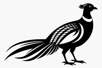 pheasant line art silhouette vector illustration