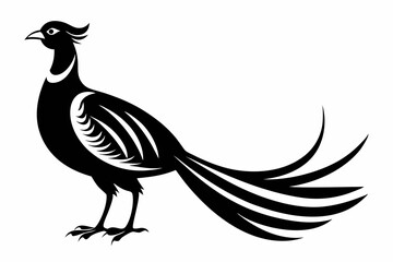 pheasant line art silhouette vector illustration