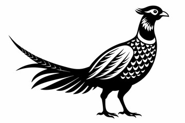 pheasant line art silhouette vector illustration