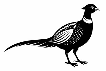 pheasant line art silhouette vector illustration