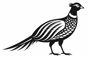 pheasant line art silhouette vector illustration