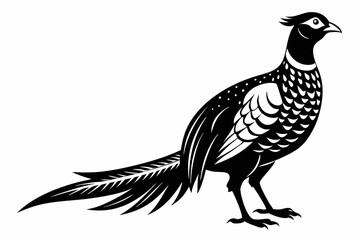 pheasant line art silhouette vector illustration