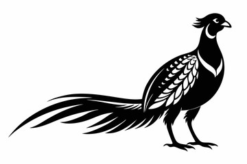pheasant line art silhouette vector illustration