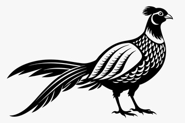pheasant line art silhouette vector illustration