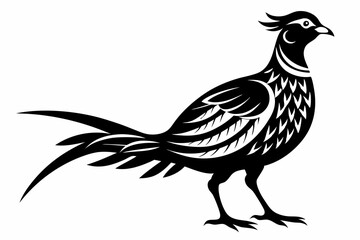 pheasant line art silhouette vector illustration