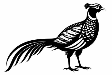 pheasant line art silhouette vector illustration