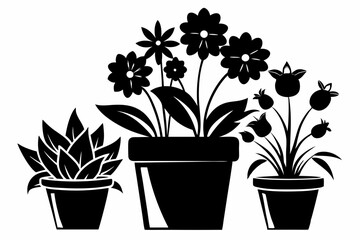 Obraz premium set of flower in a pot line art silhouette vector illustration
