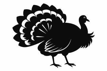turkey line art silhouette vector illustration