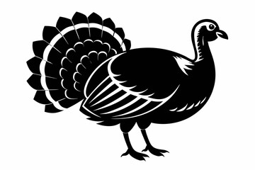 turkey line art silhouette vector illustration